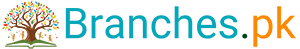 CF SMART TECHNOLOGIES (PRIVATE) LIMITED